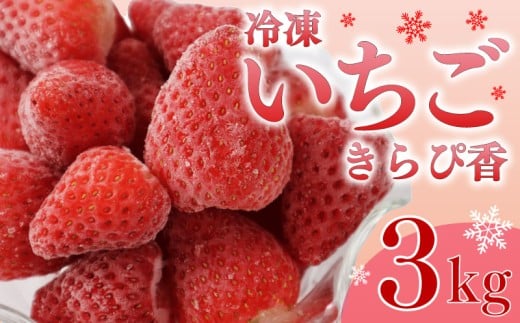 いちご 冷凍 新鮮 国産 鈴木農園の 冷凍いちご きらぴ香 1kg × 3袋 約3kg 新鮮 国産  デザート フルーツ イチゴ 苺 おいしい 贈り物 果物 ストロベリー 甘い 朝摘み 果物 いちご くだもの アイス ジャム アレンジ 氷菓 スイーツ デザート ストロベリー おやつ 完熟 直送 ギフト 贈答用 贈答 ギフト ビタミン ベリー 産地直送 国産 おすすめ 静岡県 牧之原市 鈴木農園