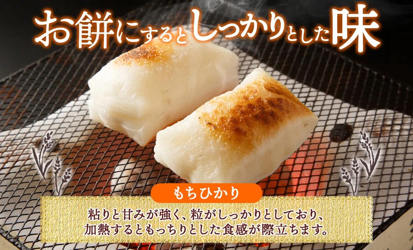 R8年産 平林農園 長野県産 もち米 もちひかり 精米 3kg お米 米 ライス 白米 ご飯 粘り 甘み お餅 餅 おこわ 赤飯 餅つき 炊き立て ホカホカ もちもち ふっくら しっとり 蒸す 炊く 