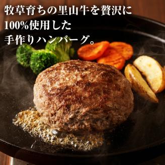 牧草育ちの里山牛100%使用！手作りジャンボハンバーグ 1.2kg (300g×4個） a5-230