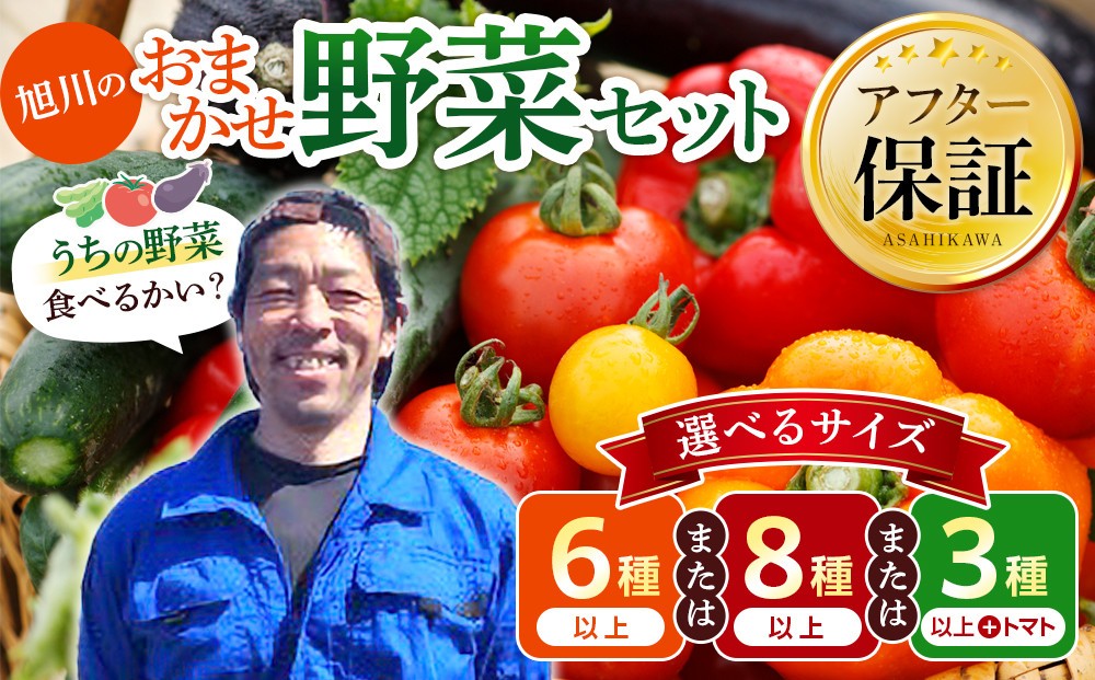 
                  【先行予約】【種類選択可】旭川のおまかせ野菜セット(2026年7月下旬発送開始)_05908
                