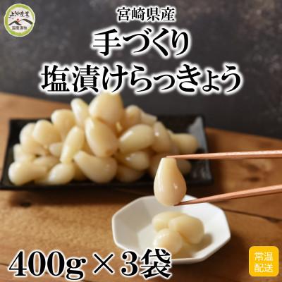 ふるさと納税 三股町 純国産 塩漬け・手作りらっきょうセット(400g×3袋・計1.2kg) 【MI321】