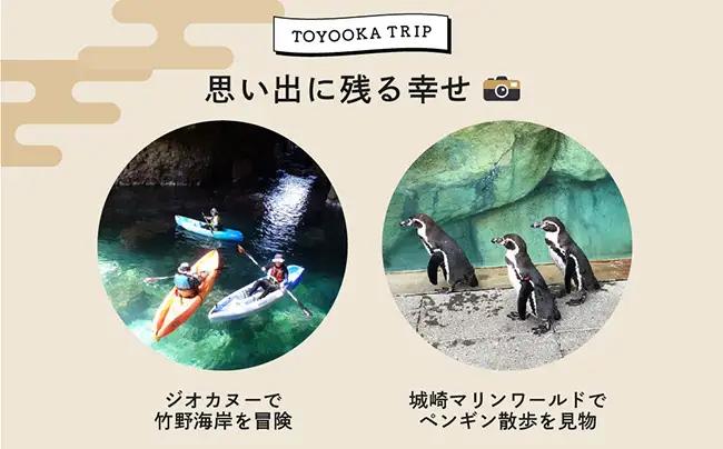 豊岡市旅行クーポン 24,000円分 3年間有効 城崎温泉 出石 竹野 神鍋 など 宿泊施設 飲食店 観光施設 250施設以上で使える旅行券 「豊岡旅幸券」 旅行 宿泊 旅 トラベルの チケット