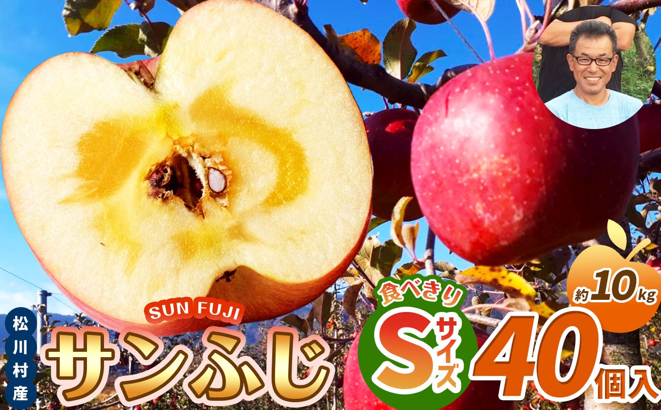 
            サンふじ 食べきりSサイズ 40個入り 約10kg 【2026年先行予約】 ｜ 北條農園 リンゴ りんご 林檎 果物 フルーツ 果実 果汁 サンふじ さんふじ Sサイズ 食べきりサイズ 家庭用 長野県 松川村 信州
          