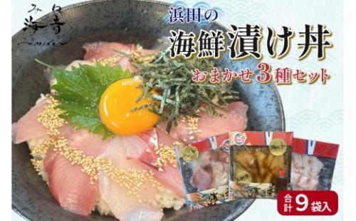 浜田の海鮮丼・漬け丼おまかせ3種セット 9パック 【195_2020】