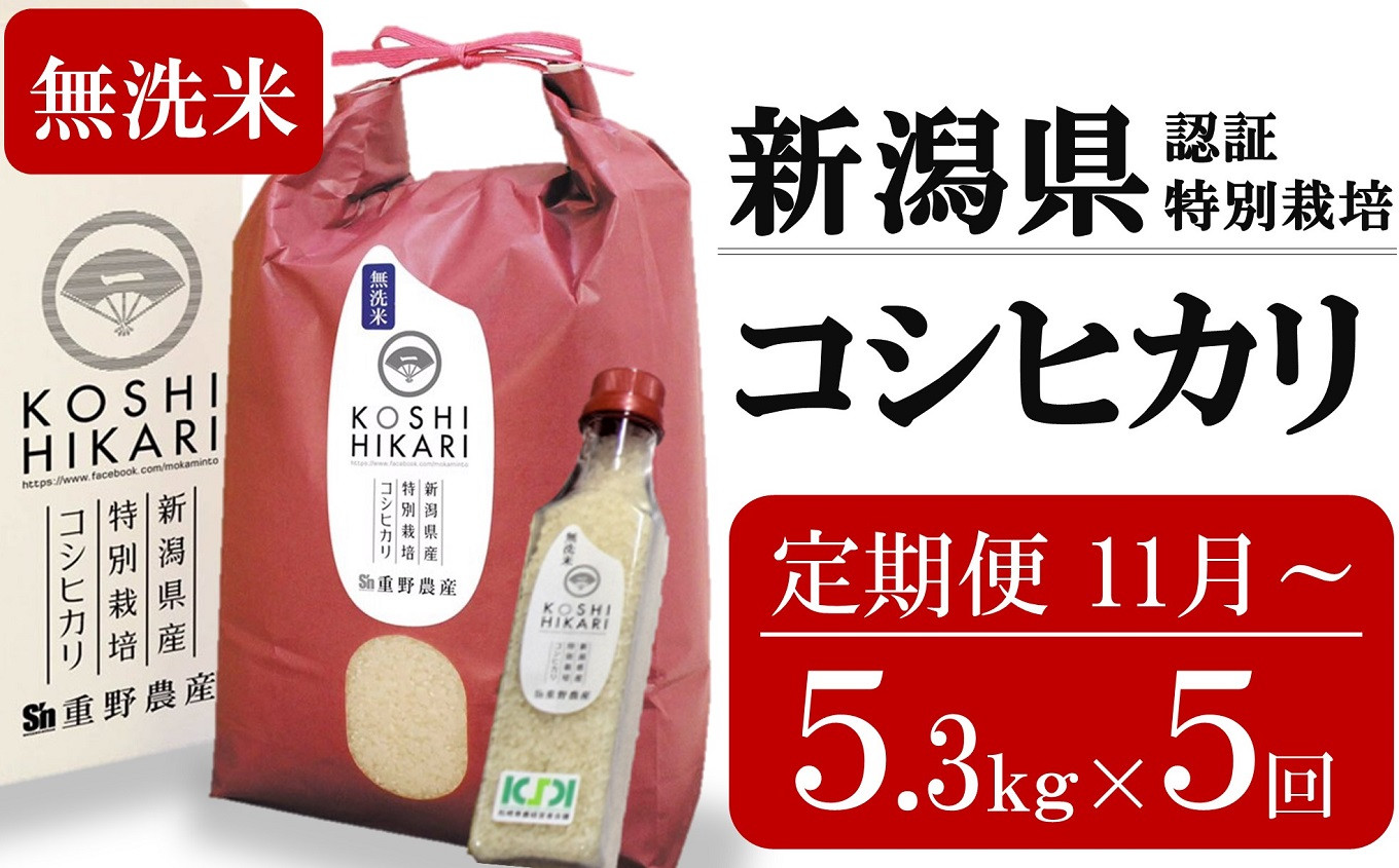 
                  新米先行予約【5ヶ月定期便・11月～発送】コシヒカリ 無洗米 5kg（ペットボトル米 300g 1本付き）×5回 （計 26.5kg）重ちゃんのお米 令和8年産米 [Y0077]
                
