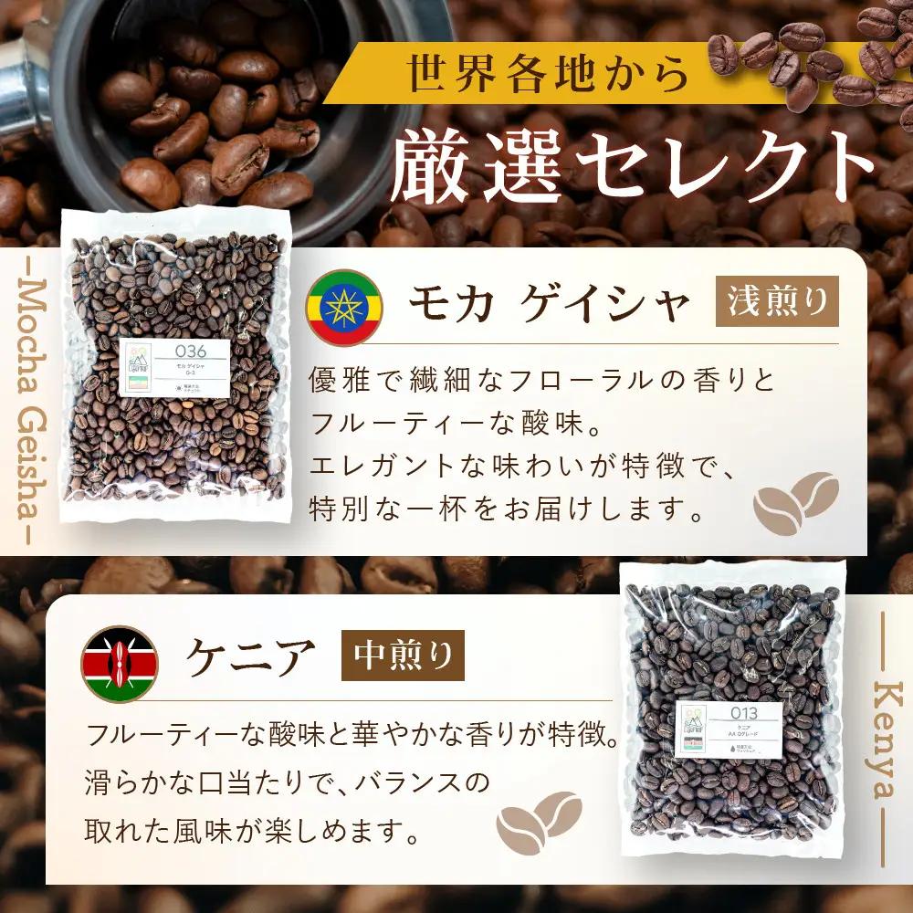 [豆]コーヒー豆 100g×6種類セット 合計600g 注文後焙煎
