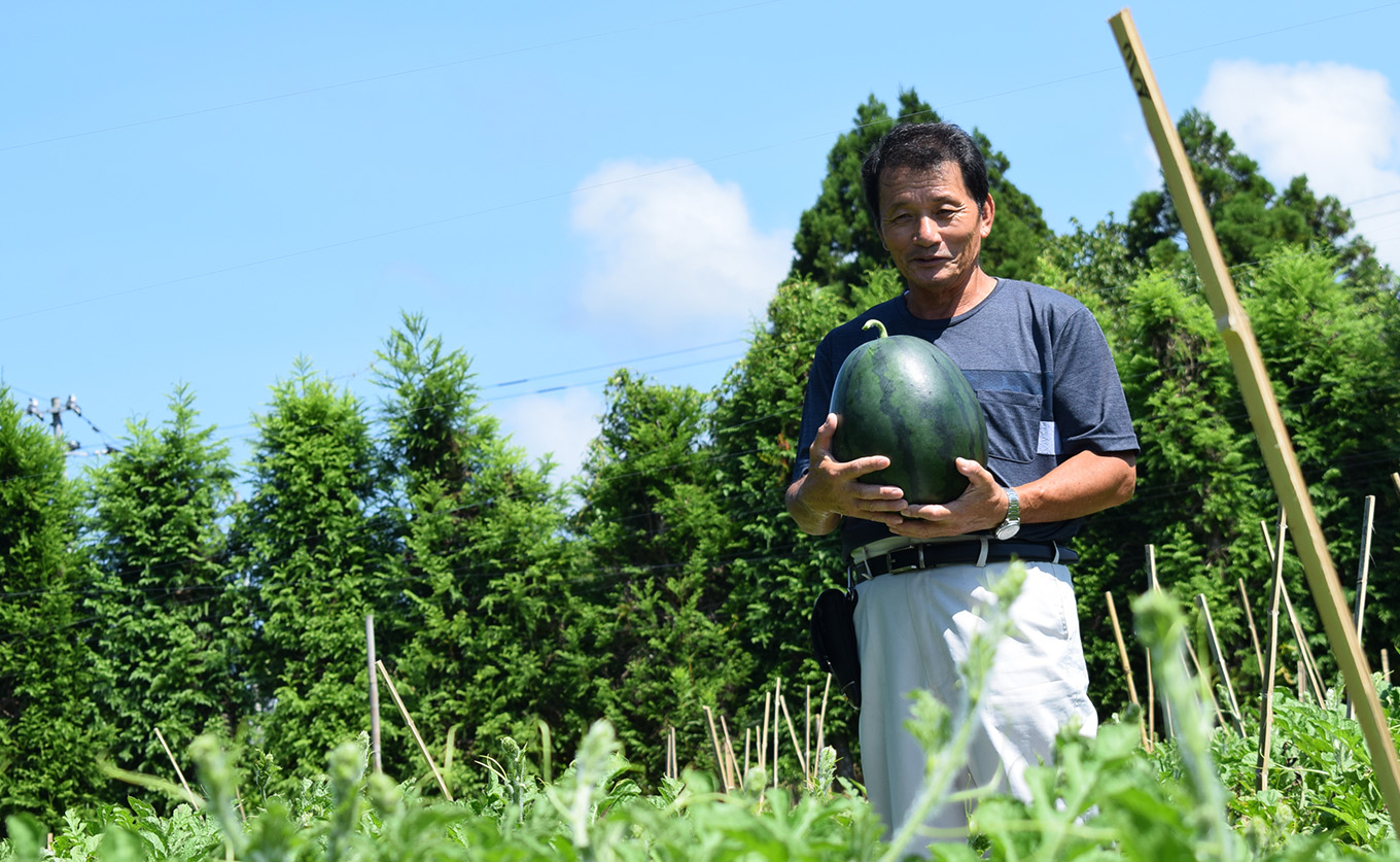 抜群の甘さ！ スイカ 1玉 大玉 (6kg以上) 甘い 高糖度 西瓜 すいか 種なし 縞スイカ 黒玉 ギフト お中元 御中元 産地直送 旬 果物 フルーツ 取り寄せ ねばねばファーム 高知県 大月町産