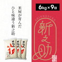 【ふるさと納税】【新米】【9ヶ月定期便】特別栽培米 新之助 6kg (2kg×3袋)×9回 米杜氏 壱成 白米 精米 大粒 つや 光沢 弾力 芳醇