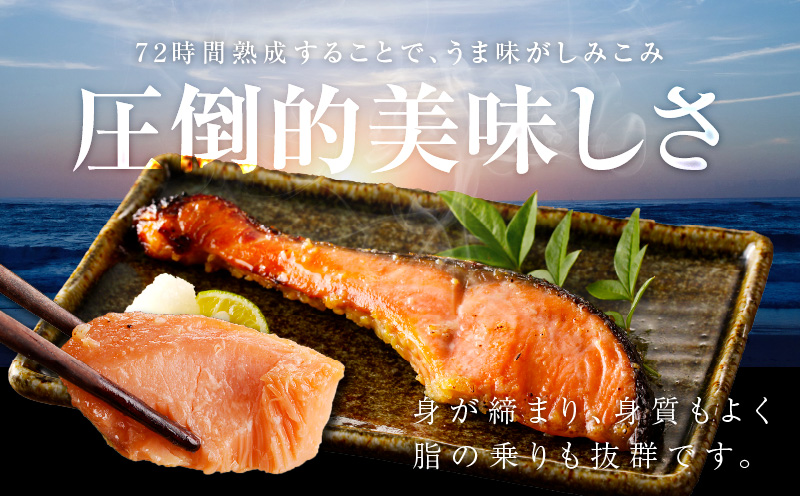 熟成 銀鮭 西京漬け 110g×6切れ 切り落とし 訳あり サイズ不揃い kgp0006