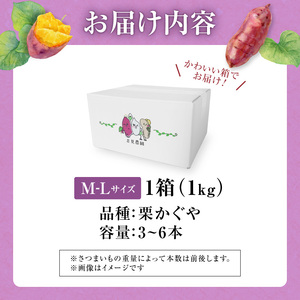 【数量限定】北海道雨竜町産 さつまいも 「栗かぐや」M-Lサイズ 1kg 大きめサイズ 産地直送 北海道 国産 おやつ お菓子作り 料理