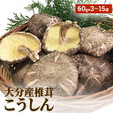 【ふるさと納税】 大分産椎茸こうしん（60g×3袋〜15袋）大分 椎茸 しいたけ 干ししいたけ 乾燥しいたけ 原木 水戻し 香り 味 和食 中華 小分け お裾分け 保存 香ばしい 旨み 大分しいたけ シンボルマーク シリアル番号 食材 国産 風味たっぷり 安心 美味しい