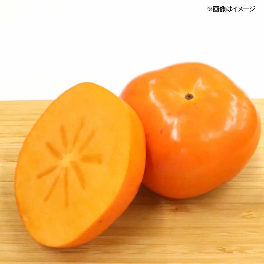 秋の贅沢、濃厚であまーい柿の新ブランド「秋王」(化粧箱３玉入り)／2026年10月-11月頃より発送予定 桂川町/一般社団法人地域商社ふるさぽ[ADCF011]