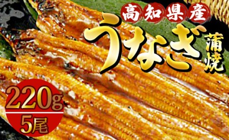 高知県産養殖うなぎ蒲焼 5尾(合計約1100g) ss-0036