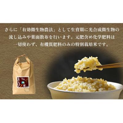 ふるさと納税 玖珠町 《先行受付》令和7年産 原農園 JAZZ米 (玄米) 4kg 3回定期便 品種おまかせ |  | 02