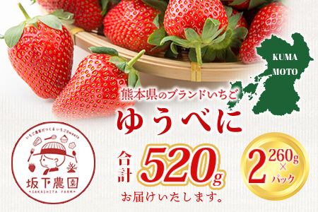 【2026年11月中旬〜順次発送】熊本県産 ゆうべに 約260g×2パック 4月終了 103-0001