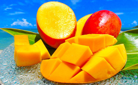 【2024年発送】久米島印商店 完熟マンゴー1kg&Ｎパイン2個