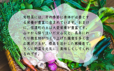 【朝採れ直送】こだわりの土作りが育てた安心野菜セット 厳選8~10品 みつぶ農園 朝採り【季節の旬野菜詰合せ】※７月下旬発送予定