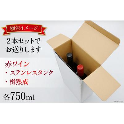 ふるさと納税 韮崎市 《数量限定》赤ワイン2本セット ステンレスタンク & 樽熟成 750ml×計2本 |  | 03