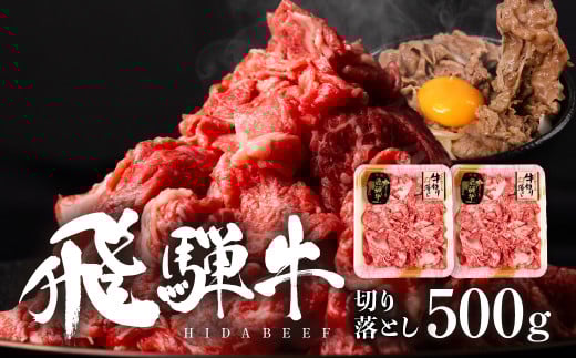 飛騨牛切り落し 500g (250g×2p) 牛肉 和牛 国産 すきやき  肉じゃが カレー ビーフシチュー 肉野菜炒め だるまミート 10000円[S931] 