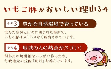 簡単便利 いもこ豚 ひと口みそ漬け 食べ比べセット (9人前) 合計1.62kg (肩ロース・ロース・ヒレ) 各540g