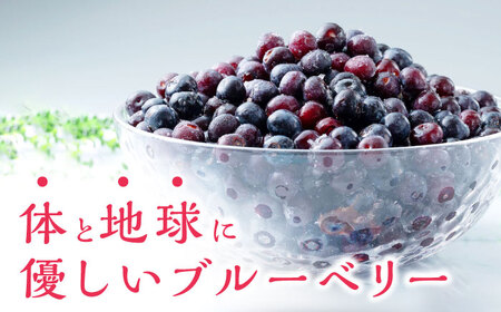 【最速発送】対馬産 ブルーベリー 600g×2袋 計1.2㎏（ 冷凍 ） 【さほの里ファーム 】《 対馬市 》 小粒　離島 対馬 無農薬 有機肥料 旬 果物 フルーツ[WBG011] スピード発送 最