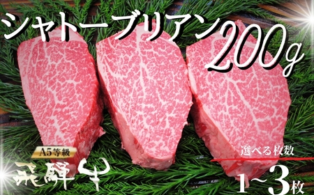 飛騨牛 5等級 シャトーブリアンステーキ 200g×1枚 〈岐阜県産〉シャトーブリアン ステーキ