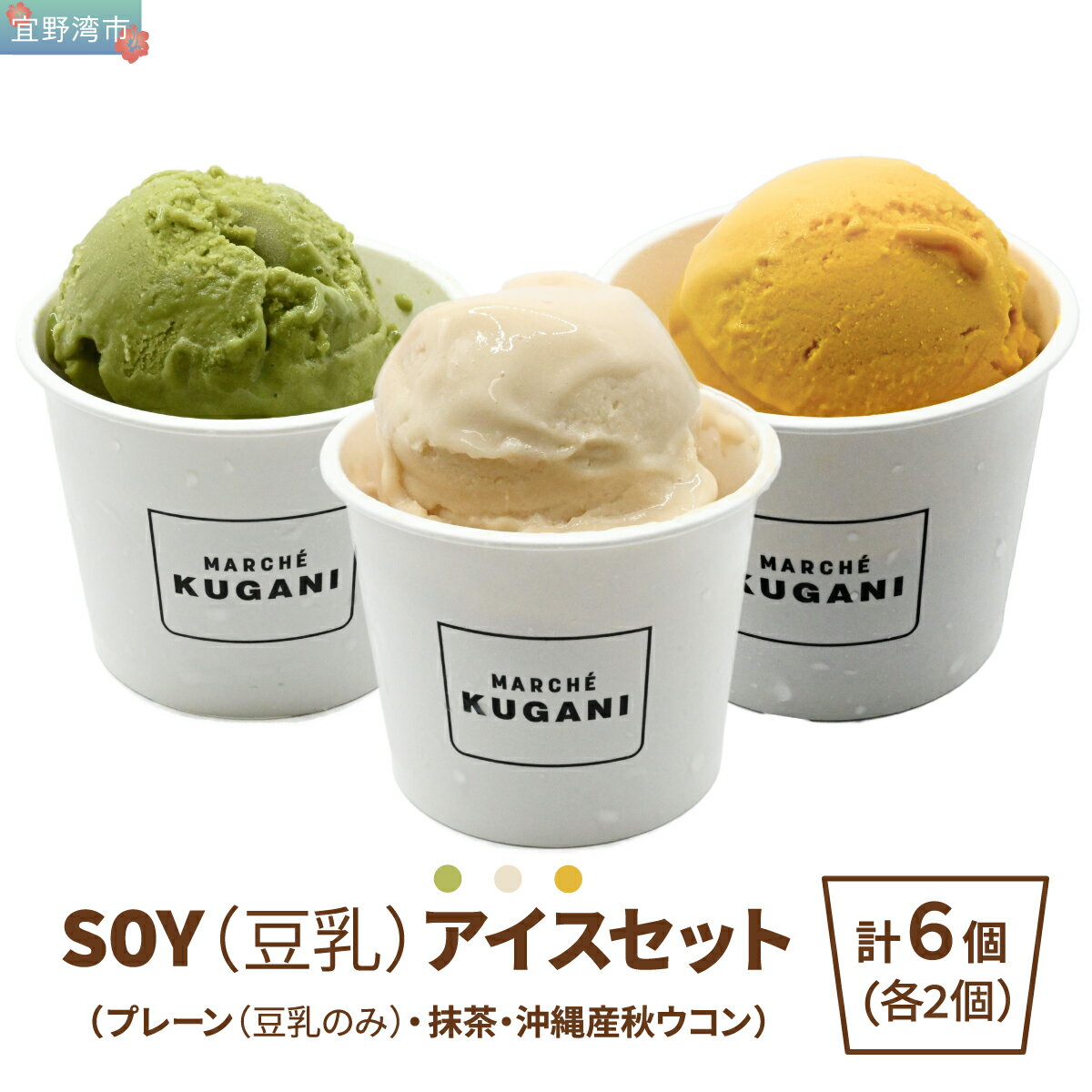 【ふるさと納税】SOY(豆乳)アイス 6個セット (プレーン(豆乳のみ)・抹茶・沖縄産秋ウコン) 3種類 各2個 | 沖縄ウコン堂 ソイアイス アイスクリーム | 国産 沖縄産 | ヘルシー 低カロリー デザート スイーツ | ヴィーガン 植物性100% | 宜野湾市 送料無料