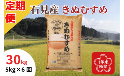 【令和6年産】石見産きぬむすめ30kg(5kg×6回コース）【定期便】きぬむすめ 定期便 お米 お取り寄せ 特産 精米 白米 ごはん ご飯 コメ 新米 玄米 一等米 30kg 30キロ 応援 準備 【1939】