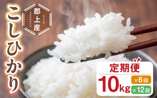 令和7年産 郡上産こしひかり 10kg 定期便 12回 12ヶ月 食品 米 精米 白米 コシヒカリ お米 コメ こめ 米 320000円 G0411_10_te12