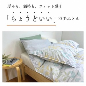 【訳あり】羽毛布団 合い掛け シングル ホワイトダックダウン90％ ちょうどいい厚さ 軽量羽毛布団 0.8kg DP360 日本製羽毛布団＜京都金桝＞ ≪新着 訳あり羽毛布団 京都亀岡産羽毛布団 掛布