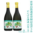 【ふるさと納税】世界自然遺産登録記念ボトル　25度（古酒）720ml　2本セット【やんばる酒造】