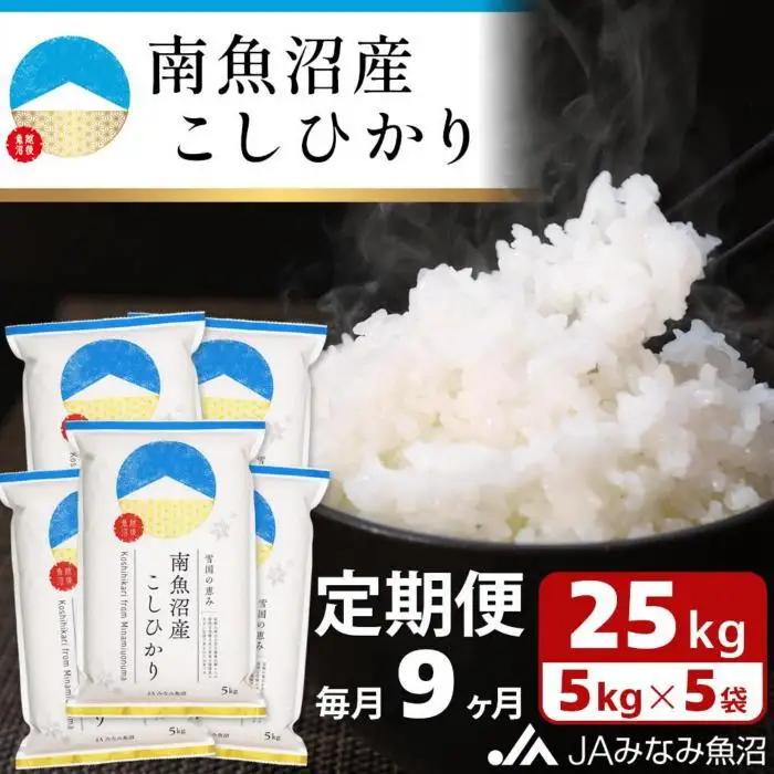 【JAみなみ魚沼定期便】南魚沼産こしひかり（25kg×全9回）精米｜こしひかり