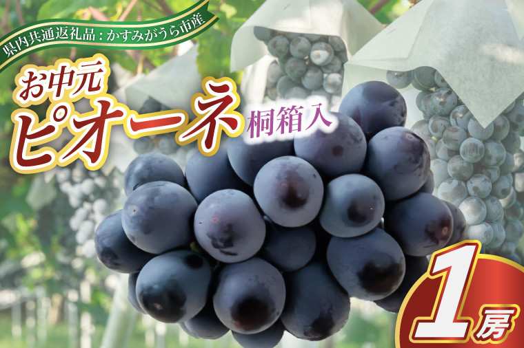
            ＜2025年8月より順次発送予定＞お中元　ピオーネ　桐箱入り1房(県内共通返礼品:かすみがうら市産) (BR110)
          