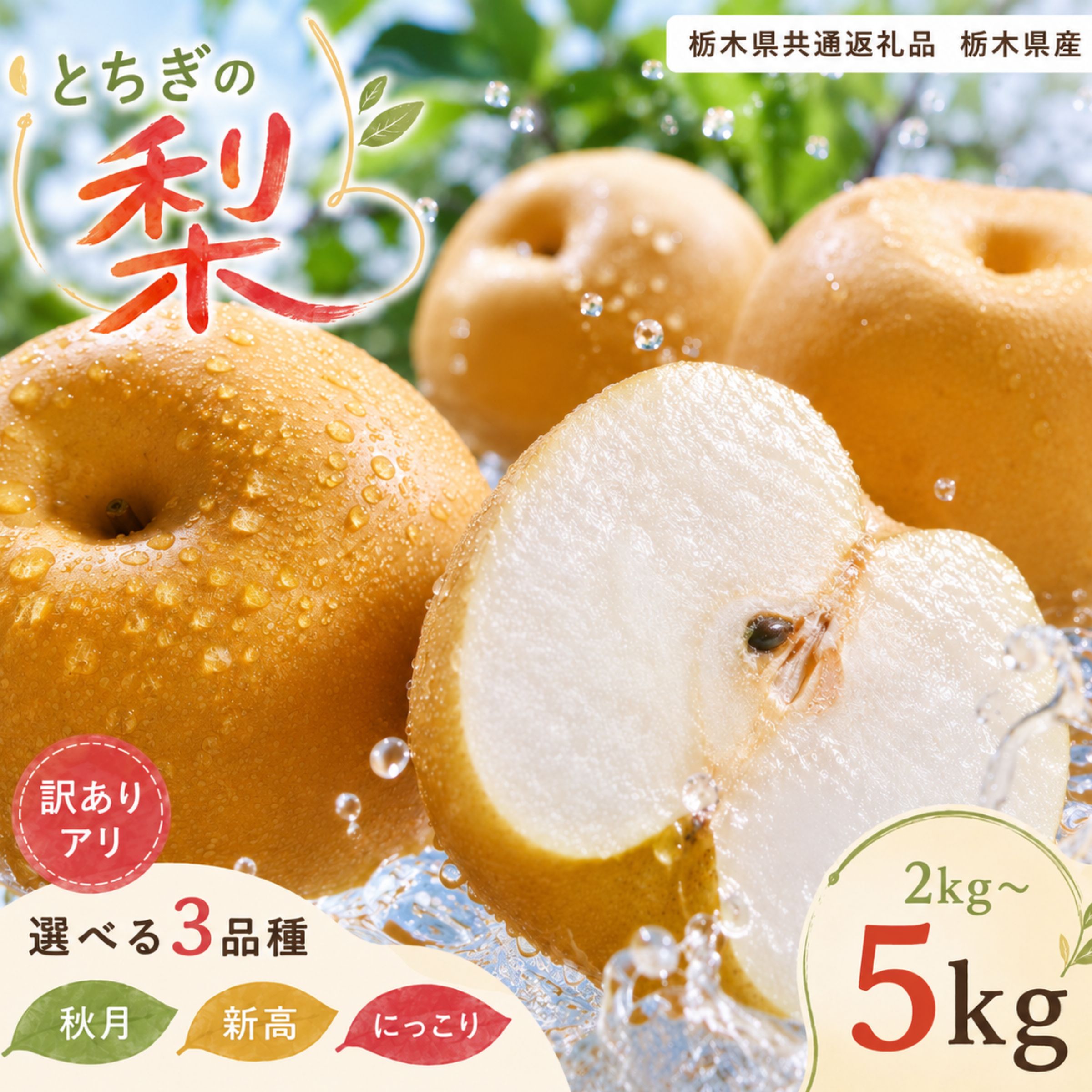 【ふるさと納税】訳あり 選べる 梨 あきづき 新高 にっこり 2kg 3kg 5kg【2026年先行予約】 | 梨 なし フルーツ 甘い みずみずしい 日持ち 果実 果物 新鮮 お土産 贈り物 旬の果物 栃木県 下野市