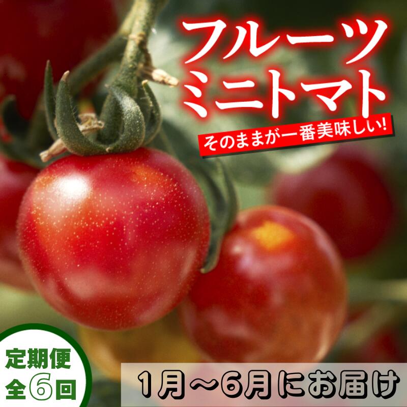 【ふるさと納税】 定期便 6回 トマト フルーツミニトマト 1kg 1月～6月 毎月お届け フルーツトマト ミニ 完熟 甘い 濃厚 野菜 人気 ふるーつとまと 美味しい 箱詰め 糖度 高知 四万十川 まちだ農園 高糖度 定期便 ギフト おやつ プチ お弁当 季節限定