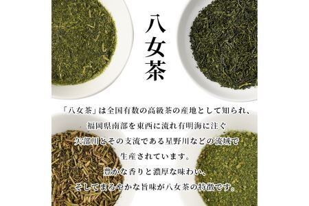 八女茶(計1kg・100g×10袋) お茶 緑茶 煎茶 茶葉 小分け 常温 常温保存【ksg0012】【お茶の星陽園】