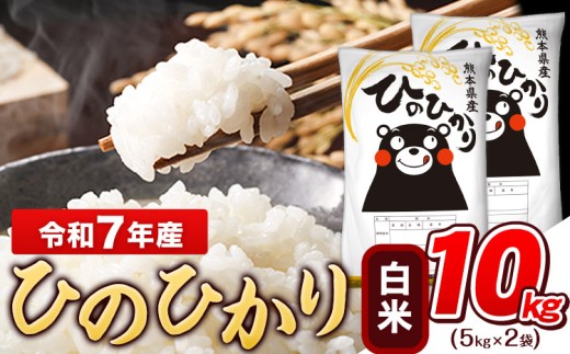 令和7年産 白米 ひのひかり 10kg《7-14日以内に出荷予定(土日祝除く)》  令和7年産 高レビュー 熊本県産 ふるさと納税 無洗米 白米 精米 ひの 米 こめ ふるさとのうぜい ヒノヒカリ コメ お米 おこめ