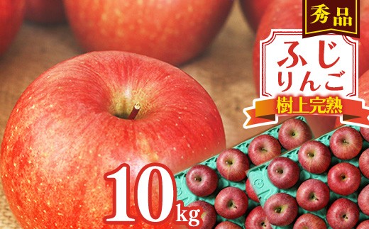 
                  令和8年産 樹上完熟 りんご 10kg 秀品 「ふじりんご」 2026年産 山形県産【2026年11月下旬頃から12月下旬頃発送予定】　034-B-NG014
                