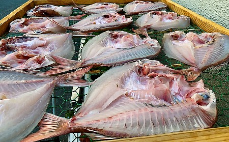 【山田海産物】淡路島えびす鯛（献上鯛） 2枚入り