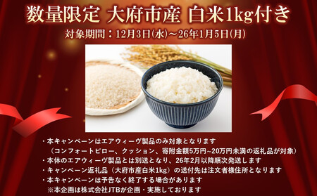 エアウィーヴ ピロースリム みな実のまくら 2個 セット