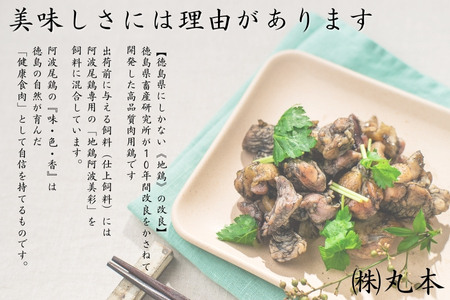 阿波尾鶏炭火焼（100ｇ×6袋）