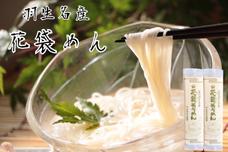 明治六年創業　武州羽生名産　「花袋そうめん」　40人前(200g×20入)