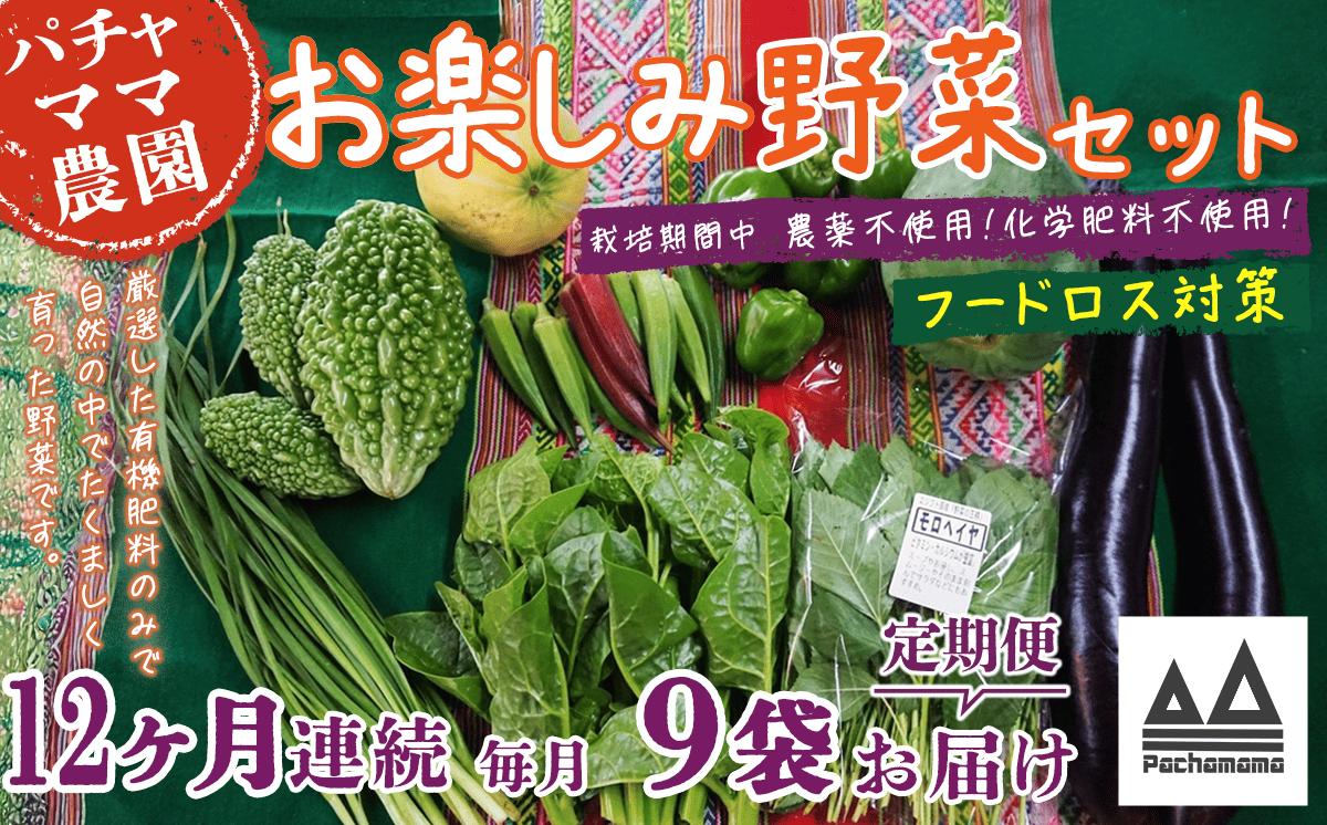 【 訳あり 】【 12ヶ月連続お届け 】 お楽しみ野菜セット （ 9袋 ）【 フードロス対策 】【 野菜 詰め合わせ お任せ 訳あり フードロス 季節物 セット 山芋 パセリ かぶ 人参 里芋 たまね