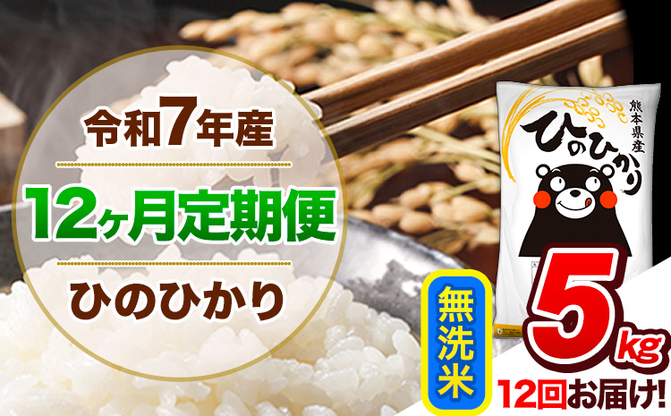 【12ヶ月定期便】令和7年産 定期便 無洗米 ひのひかり 5kg 《お申込み翌月から出荷》熊本県産 ふるさと納税 精米 ひの 米 こめ ふるさとのうぜい ヒノヒカリ コメ 熊本米 ひのもり