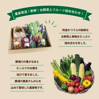 【定期便3回】阿波かつうら 農産物詰め合わせ