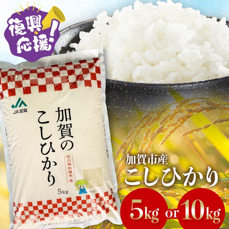 【ふるさと納税】【選べる配送月】 復興応援米 こしひかり 5kg 10kg 精米 令和7年産 先行予約10月から順次発送 銘柄米 お米 米 ギフト 贈り物 グルメ 食品 復興 震災 コロナ 能登半島地震 復興支援 北陸新幹線 F6P-2394var
