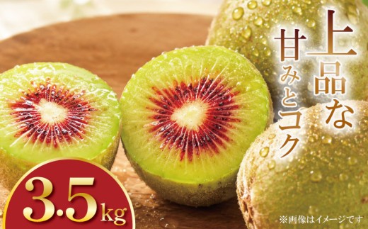 訳あり キウイフルーツ 紅妃 3.5kg 先行予約 2026年10月上旬～ 紅妃 レインボーレッド キウイ 国産キウイフルーツ キウイフルーツゼリー キウイフルーツジュース キウイフルーツジャム キウイフルーツタルト キウイフルーツビタミンC キウイフルーツ追熟 キウイフルーツ訳あり キ プレゼント 贈答 送料無料 徳島県 吉野川市 くゆな農園