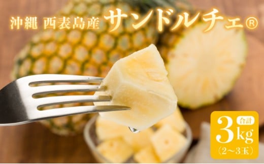 熟鮮サンドルチェ(R) 3kg(2～3玉 )2026年 先行予約 パイン沖縄 西表島産 レア品種 沖縄 西表島産 果物 フルーツ