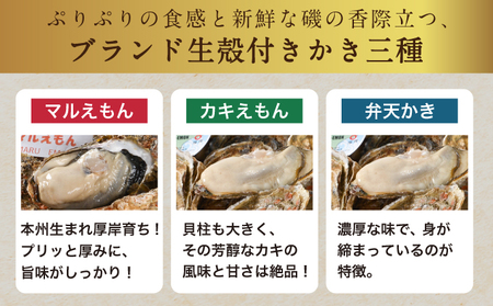 北海道 厚岸産 殻かき 三種 食べ比べ プレミアムセット 殻付き 牡蠣