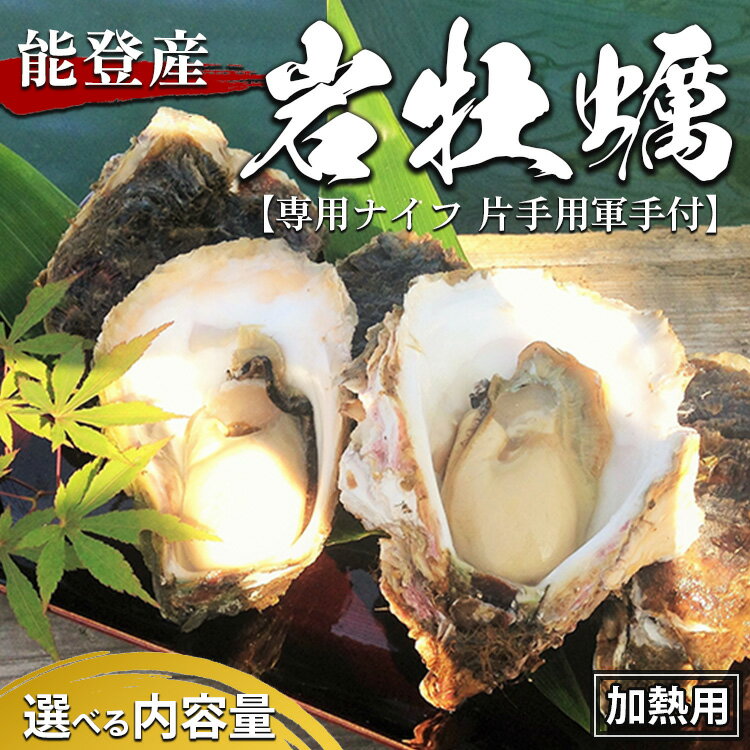 【ふるさと納税】【能登半島地震復興支援】＼選べる内容量／能登産 岩牡蠣 専用ナイフ 片手用軍手付 加熱用｜冷蔵配送 石川県 七尾市 能登 ※2025年6月中旬～2025年8月下旬頃に順次発送予定 ※離島への配送不可